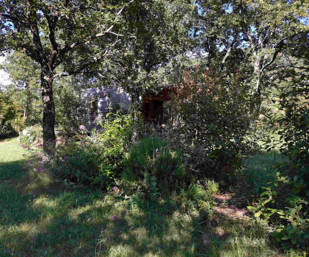 chalets darbres plantes-et-exterieurs-vers-le-chalet-2-personnes-chalets-darbres_2_-1024x851