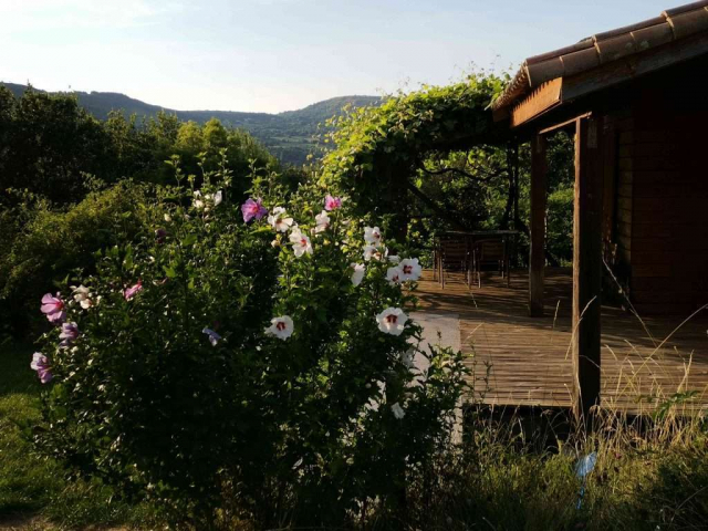 chalets darbres altea-en-fleurs-devant-le-chalet-jaune2_-1-1024x768-640x480