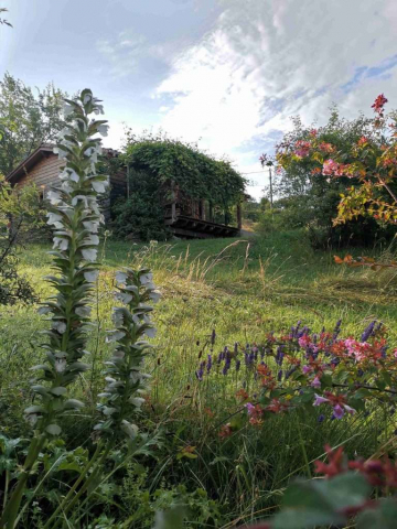 chalets darbres fleurs-vue-vers-le-chalet-jaune_-768x1024-640x480