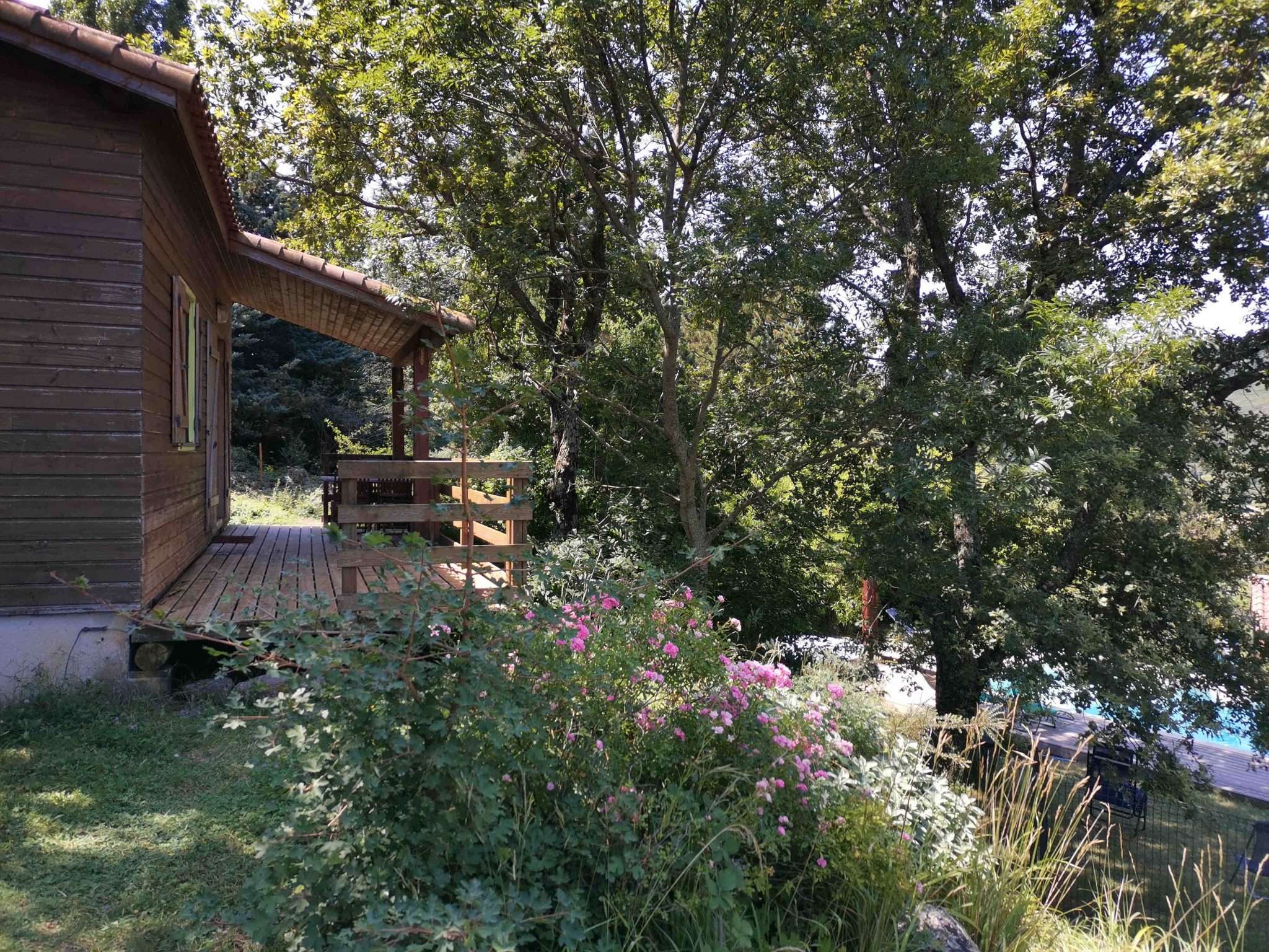 chalets darbres vue-vers-terrasse-chalet-vert_-scaled