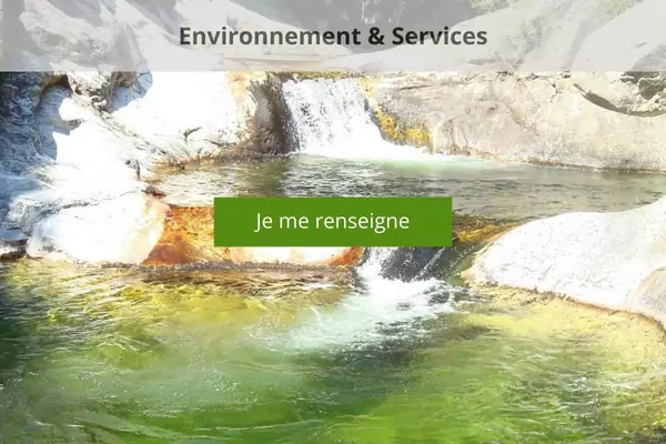 chalets darbres Activites-dans-le-Sud-Ardeche