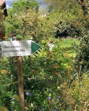 chalets darbres LME--e1745416800303
