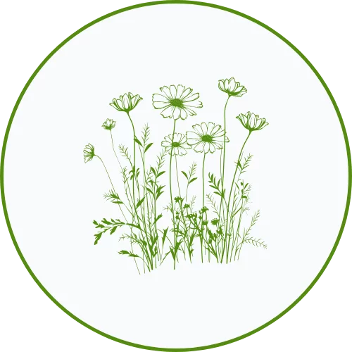 Pictogramme-Pleine-nature chalets darbres Pictogramme-Pleine-nature