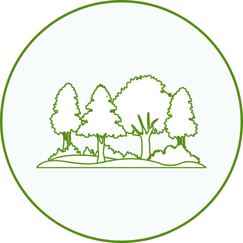 chalets darbres Proche-foret