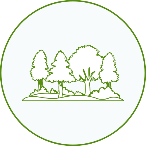 Proche-foret chalets darbres Proche-foret