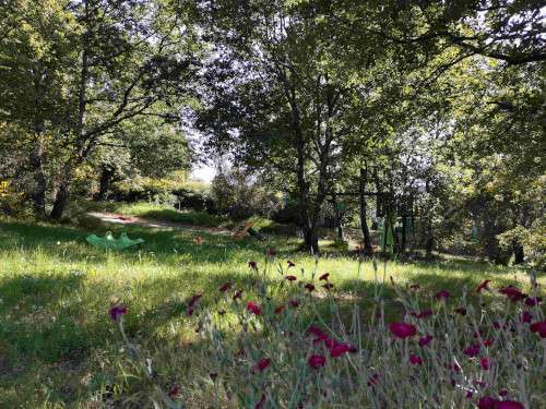 chalets darbres jeux-ensemble-et-fleurs--640x480