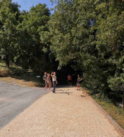 chalets darbres petanque_1--928x1024-640x480